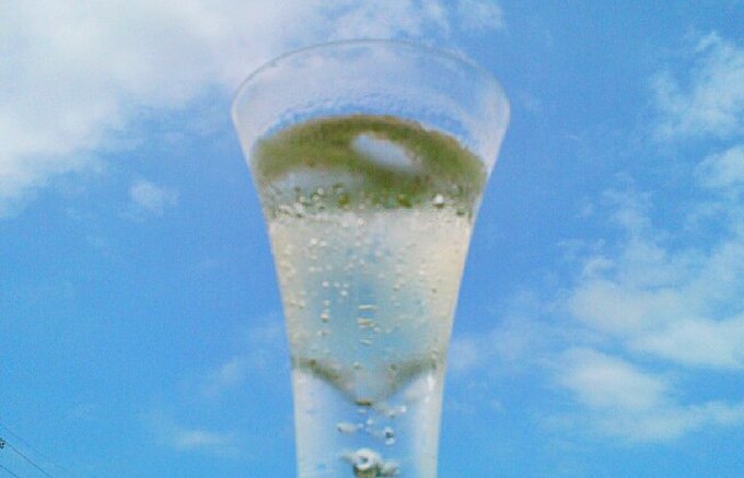 広島レモンサイダー海人の藻塩プラス ２５０ｍｌ ２４本 広島県果実農業協同組合連合会 の通販 お取り寄せなら ぐるすぐり